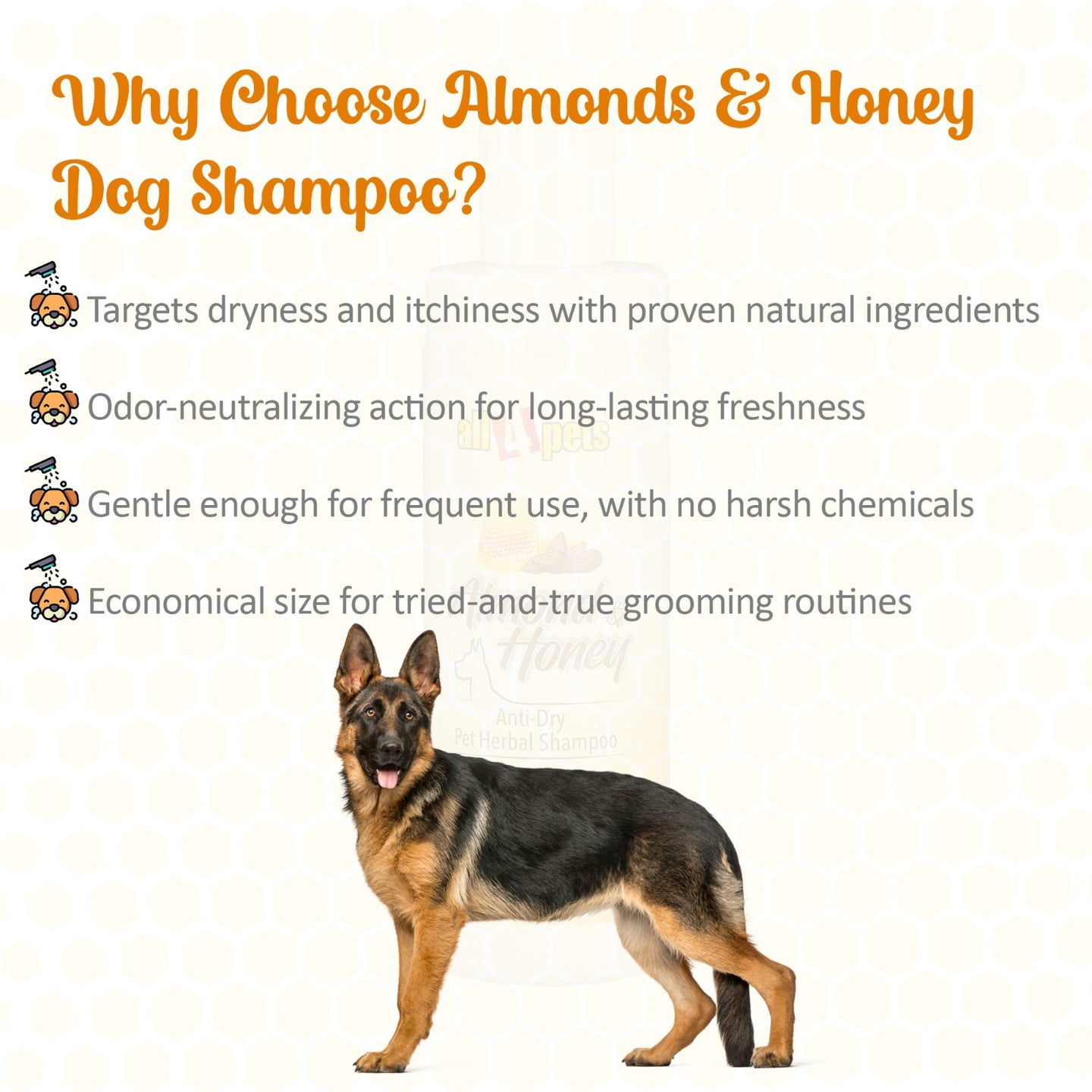 All4pets Almonds Honey Dog Shampoo-200ml